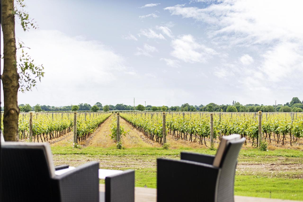 Tinwood Estate Vineyard Lodges チチェスター エクステリア 写真